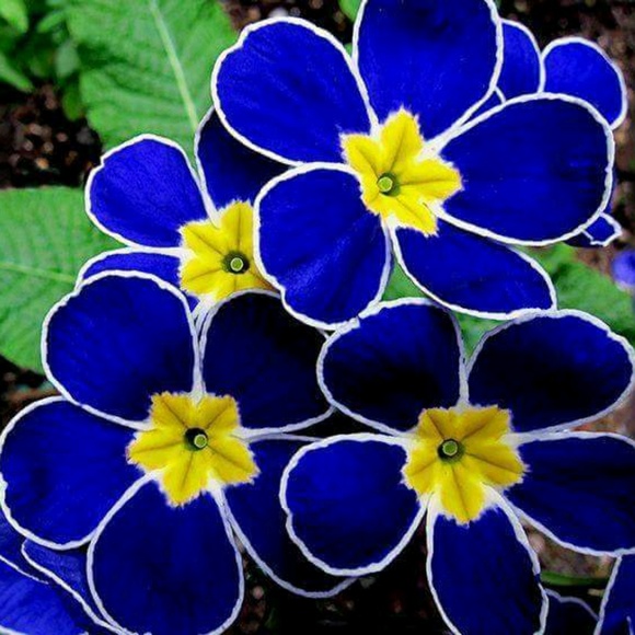 loreee11_